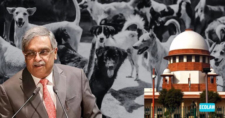 Stray Dogs Made Me Famous Worldwide,” Jokes Justice Nath Ahead of His CJI Tenure