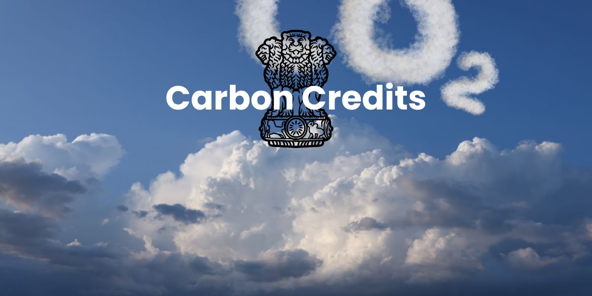Who Issues Carbon Credits in India? (2026 Complete Guide for Delhi Businesses)