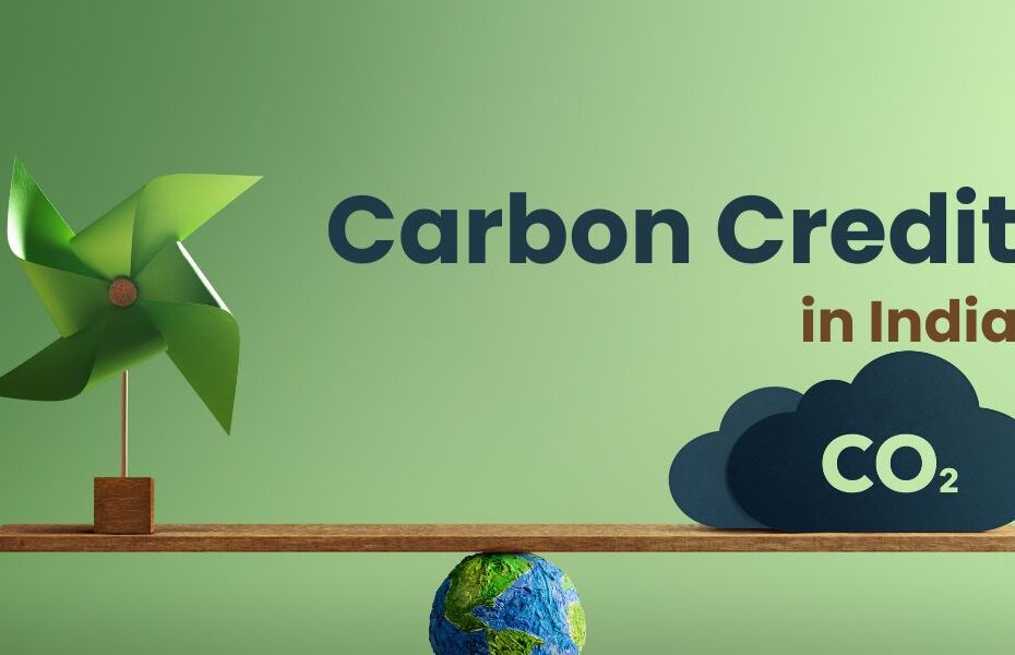 What Is Carbon Credit in India?