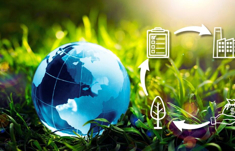 How Carbon Credits Work & How Businesses Make Money From Them