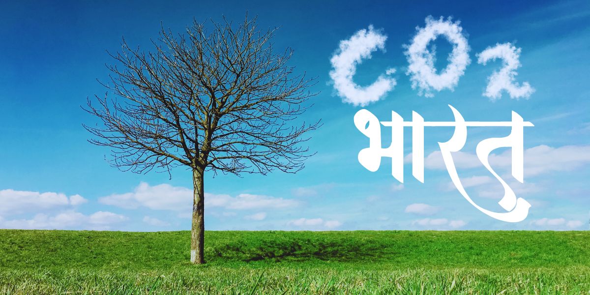 Carbon Registry of India Explained: How Carbon Credits Are Verified