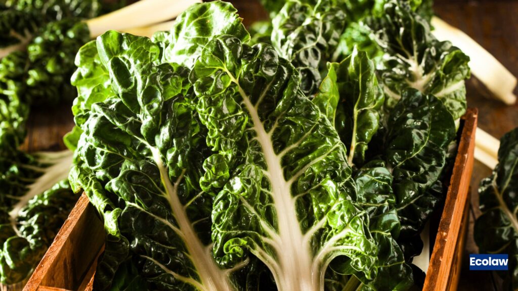 Spinach 