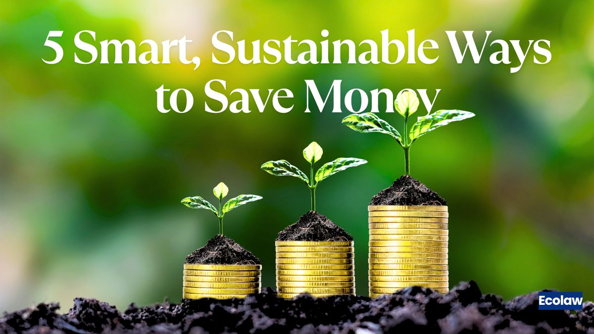 5 Smart, Sustainable Ways to Save Money on Groceries in India