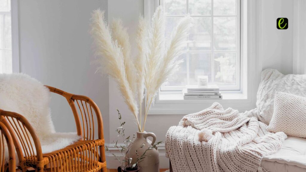 14 Affordable Home Decor Items Under ₹1000 to Buy Online in India 20 Dried Pampas Grass Bunch — The Decor Trend That Refuses to Fade