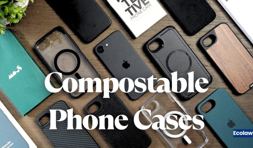 Compostable Phone Cases: Why Your Current Case Is a Silent Environmental Disaster